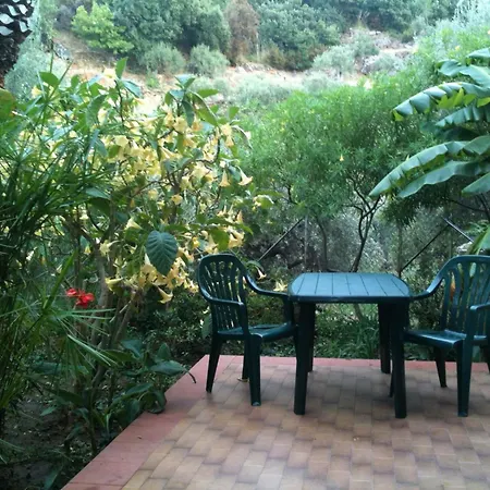Sea View Garden *