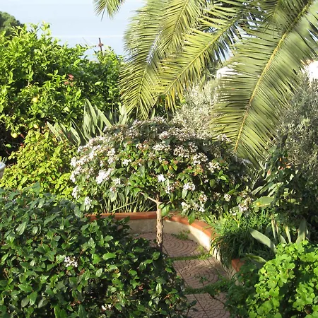 Sea View Garden Apartment