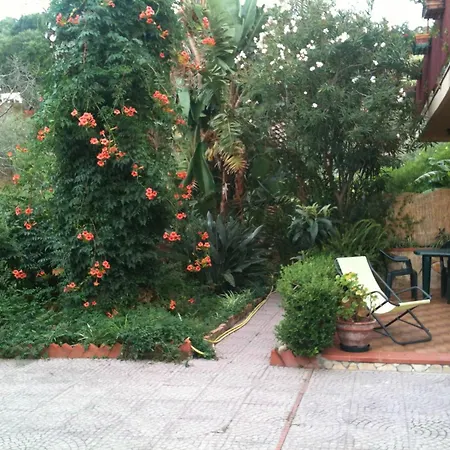 Apartment Sea View Garden