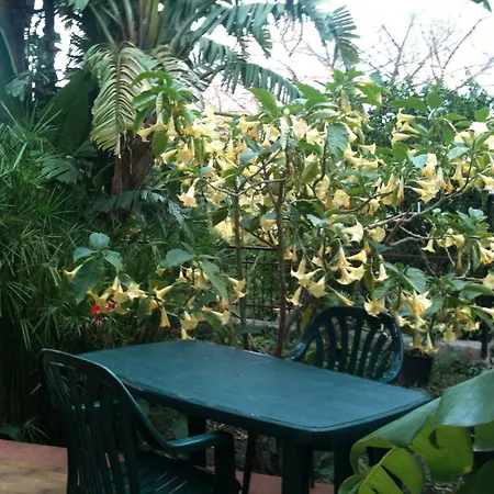 Sea View Garden *