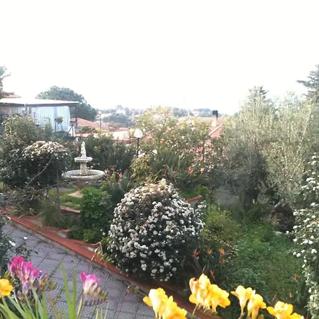 Sea View Garden Apartment